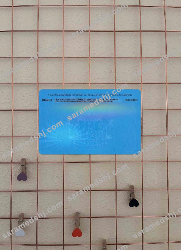 Brunei driving license photolook BACK